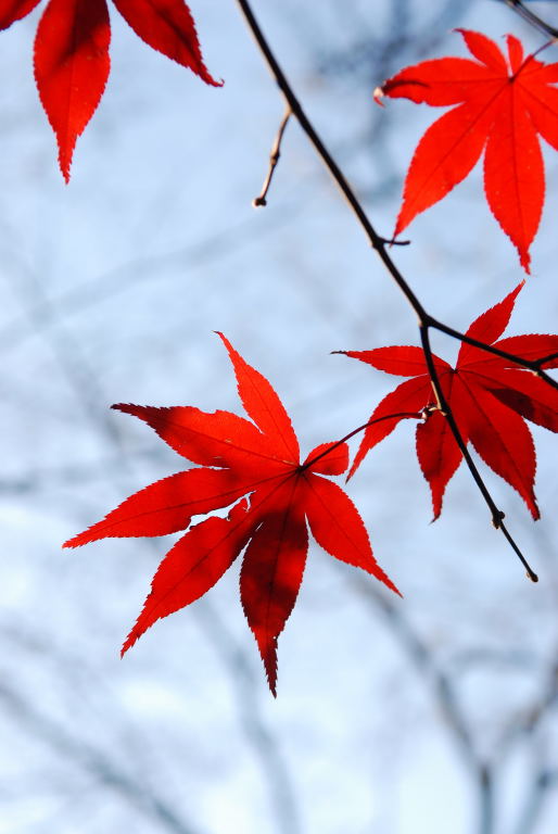 平林寺09　047