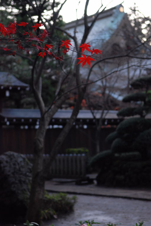 平林寺09　231