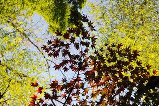 平林寺09　028