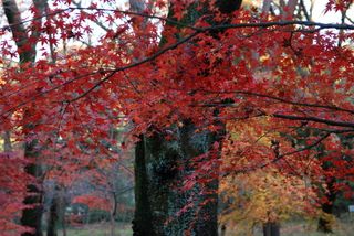 平林寺09　120