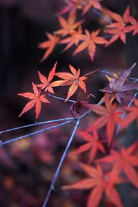 平林寺09　170