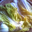 干し野菜 (3)
