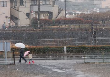 淡雪写真館 (3)