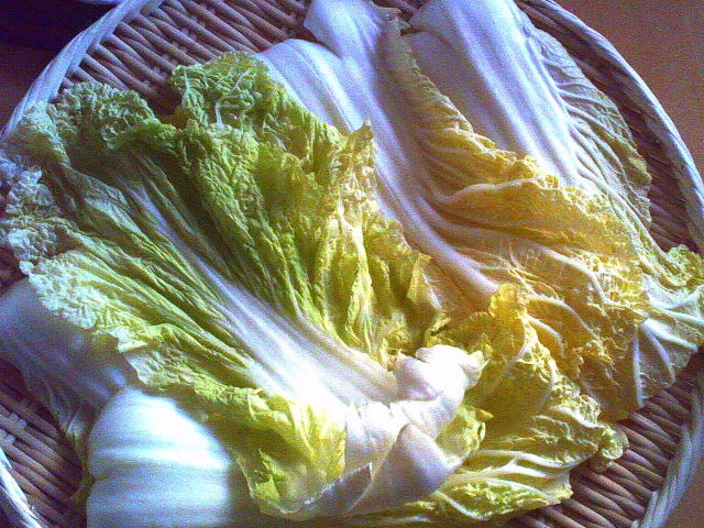 干し野菜 (3)