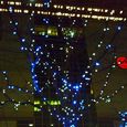 聖夜 (2)