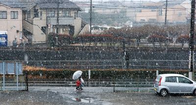 淡雪写真館 (8)