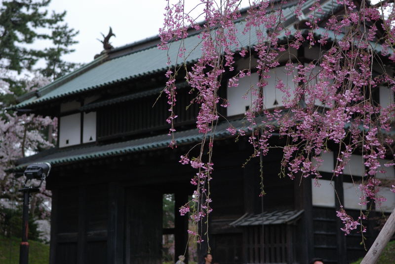 弘前2011 (18)