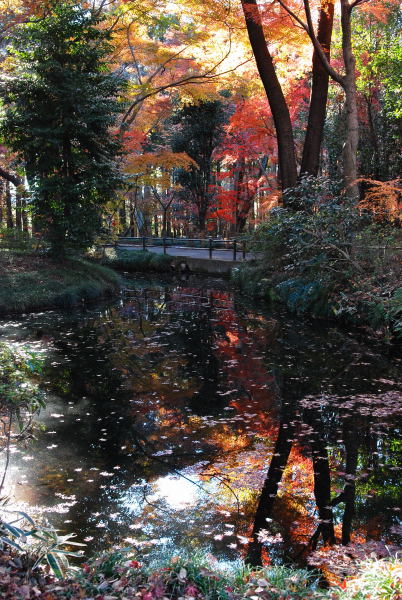 平林寺2011 (4)