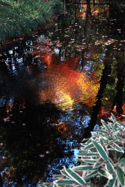 平林寺2011 (3)