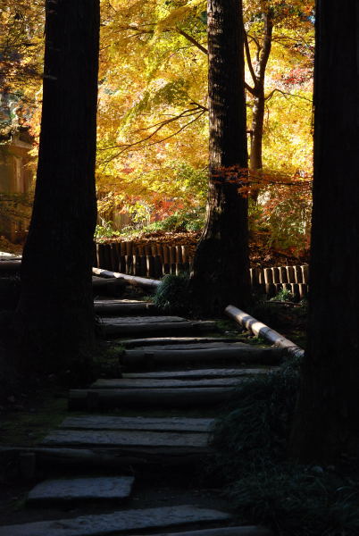 平林寺2011 (6)