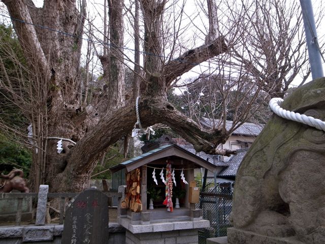 海南神社ー３