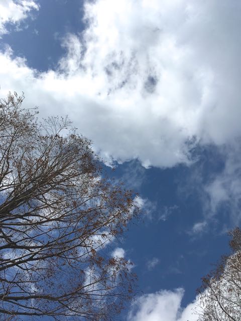 3月11日の空